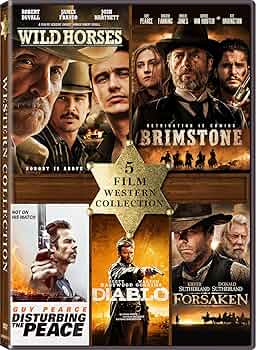 ⭐The Western Movies vol.1 DVD Box (５枚)⭐ ⭐The Western Movies vol.1 DVD Box (5枚) The Western Movies